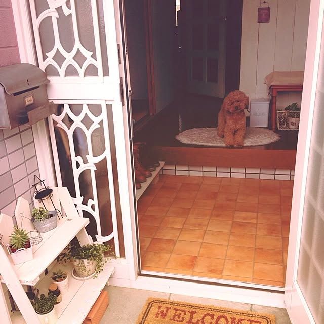 rookuさんの実例写真