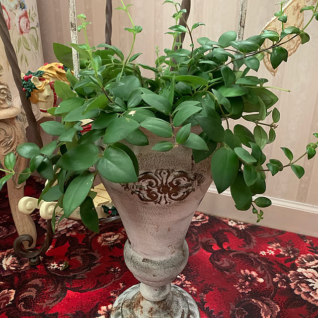 AYUKOさんの実例写真