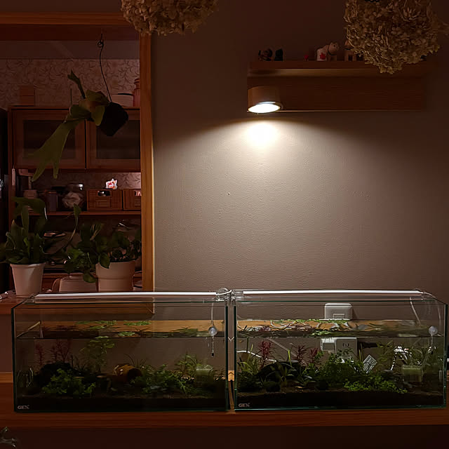 madeleineさんの実例写真