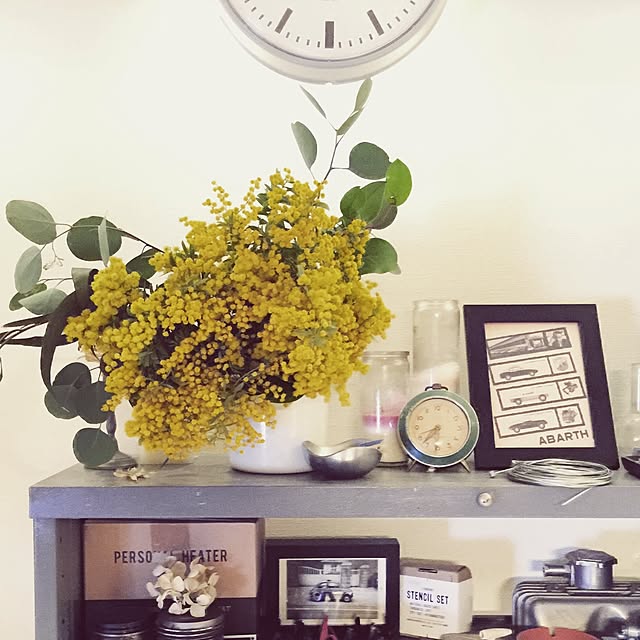 gianini500tvさんの実例写真