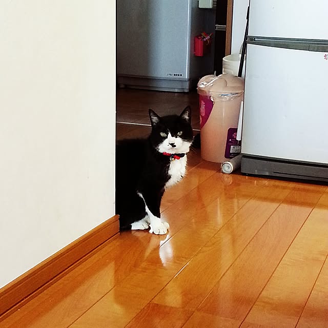 myuさんの実例写真