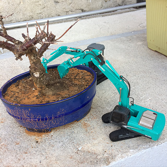 nacchi4さんの実例写真