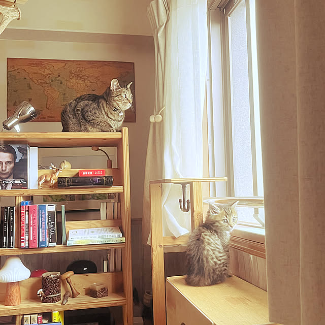 Mさんの部屋