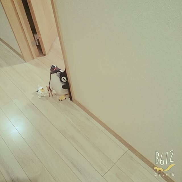 midoさんの実例写真