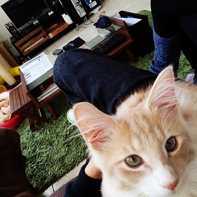 Kenjiさんの実例写真