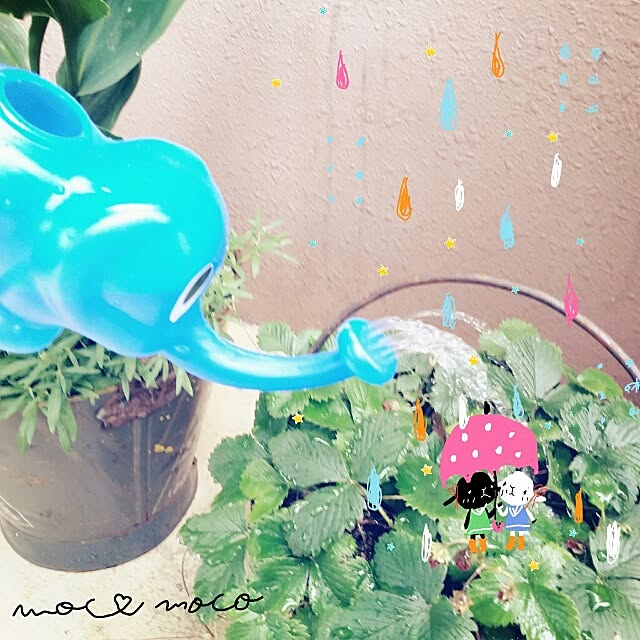 moco-mocoさんの実例写真