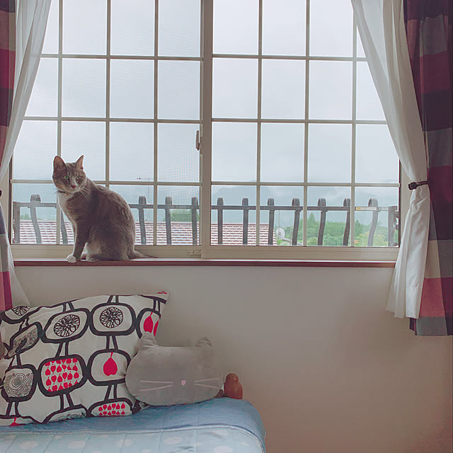 Yuさんの実例写真