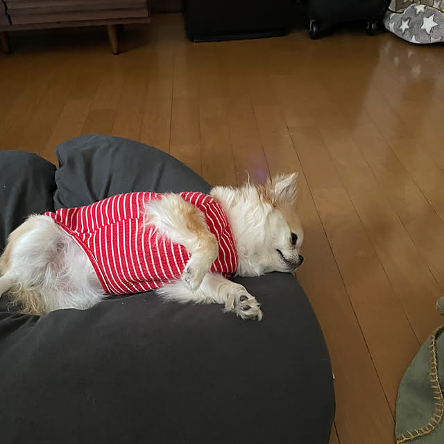 natsumiさんの部屋
