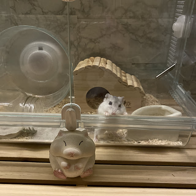 hosimamaさんの実例写真