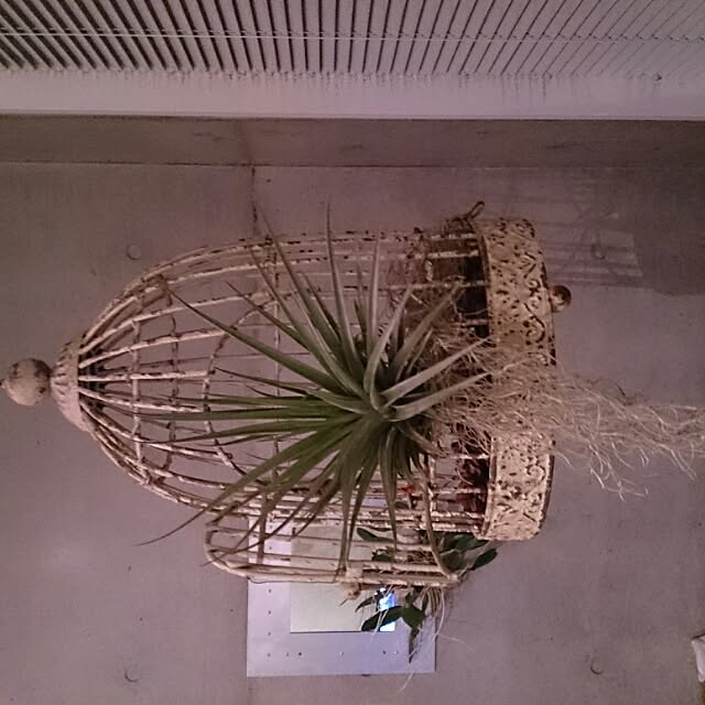 yujlさんの実例写真