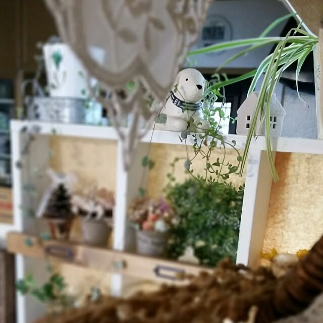 hitomiさんの実例写真