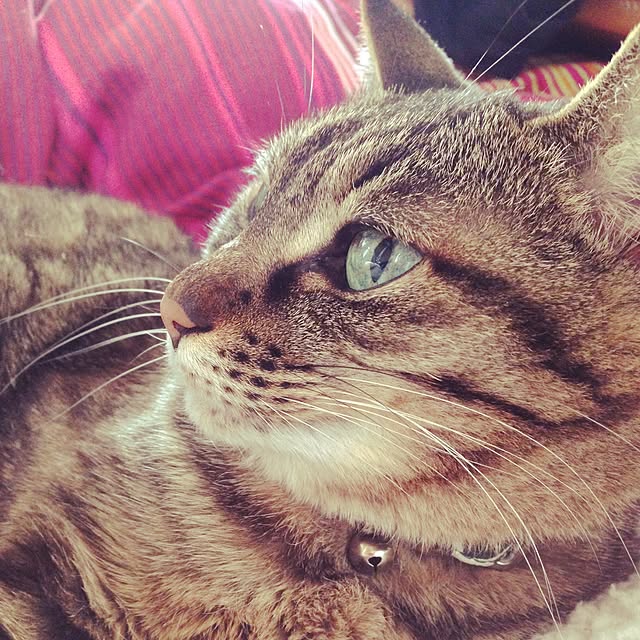 k.n.t.t.tさんの実例写真