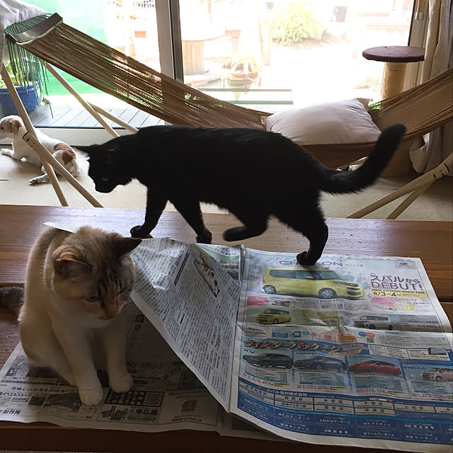 nanaさんの実例写真