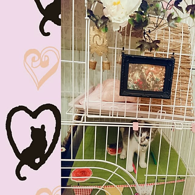 totoko3927さんの実例写真