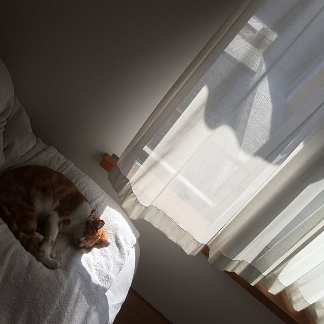 gguuiiさんの実例写真