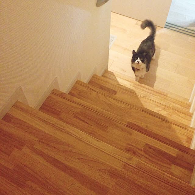 machiさんの実例写真