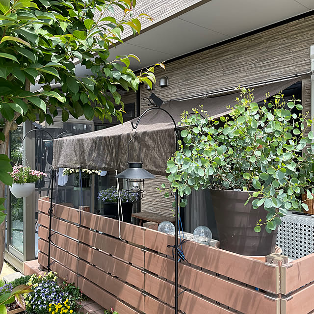 ronronさんの部屋