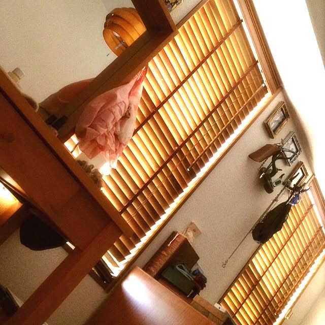 Primaveraさんの実例写真