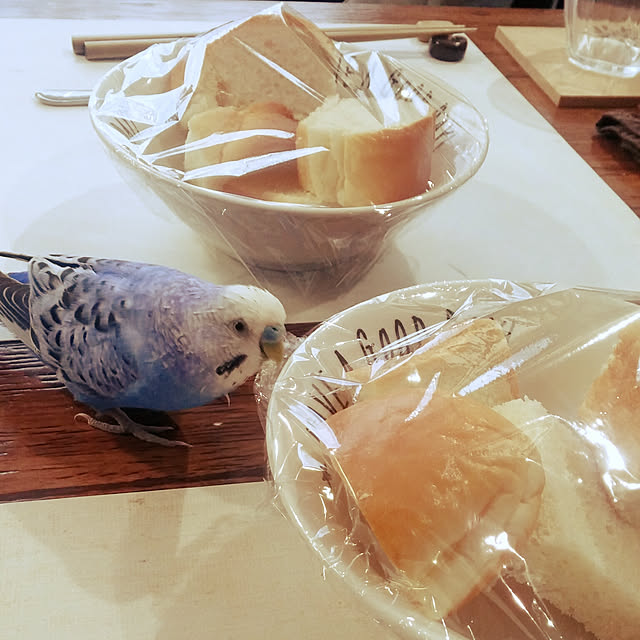 opiopiopiさんの実例写真