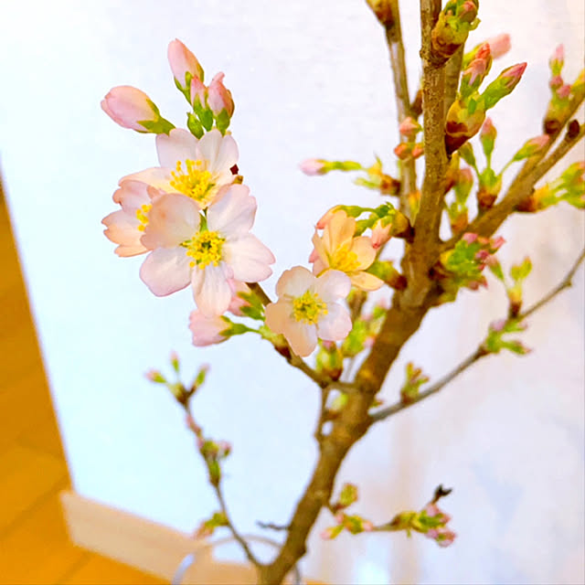 sunabaさんの実例写真