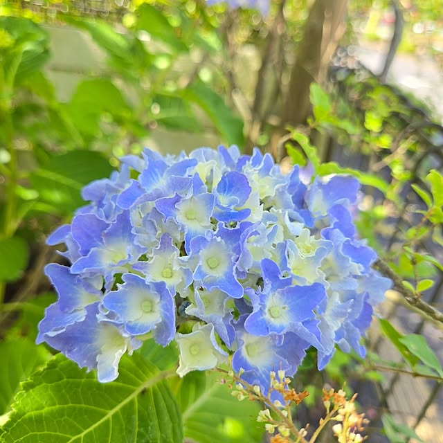 min_nimさんの部屋