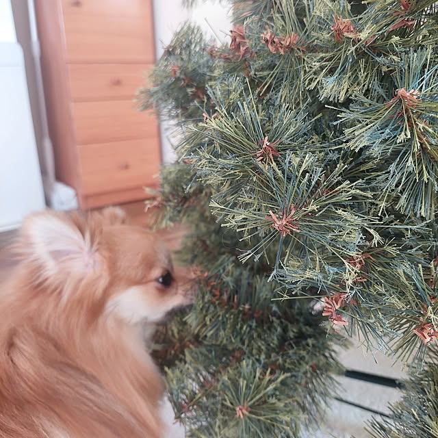 timitaさんの部屋