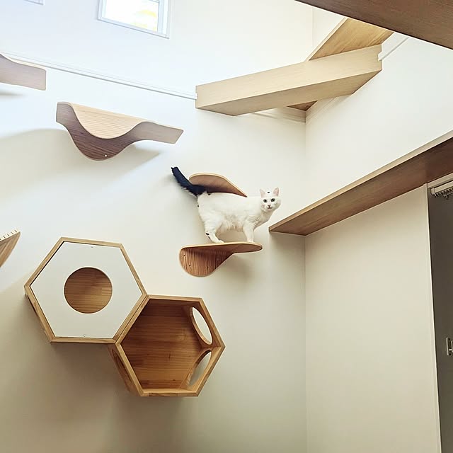 nekocatさんの部屋