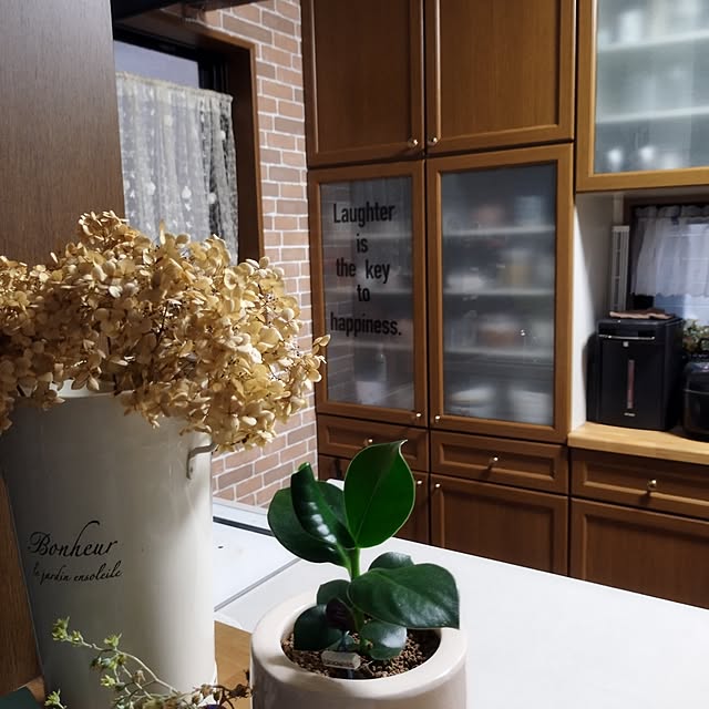 yasue.ichnoさんの部屋