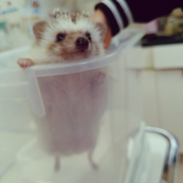 kuruさんの実例写真