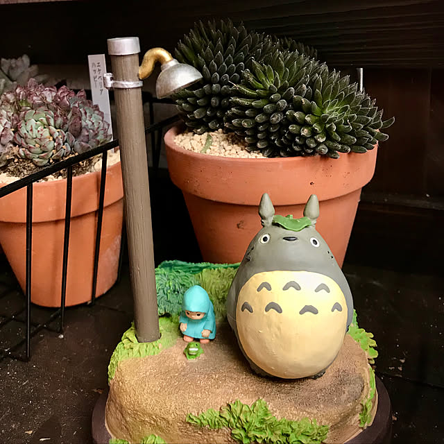 butachanさんの実例写真