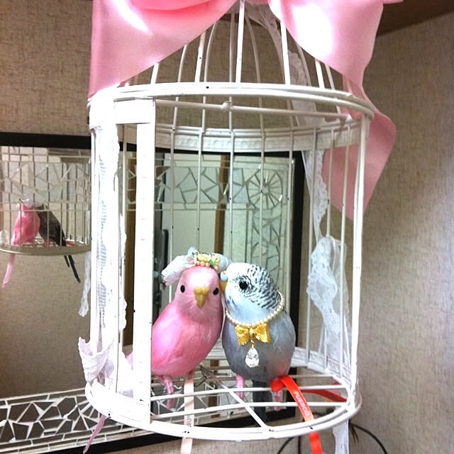 URBANCOLOURSさんの実例写真