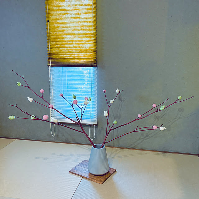 19pyonさんの実例写真