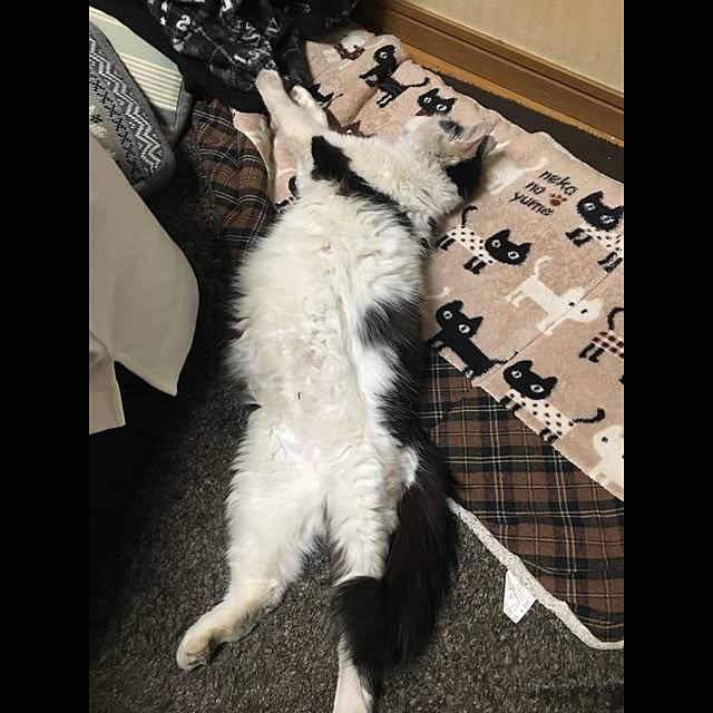 un-ryuさんの実例写真