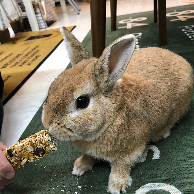 Eikoさんの実例写真