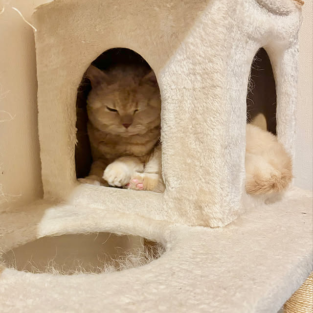 naokoさんの部屋