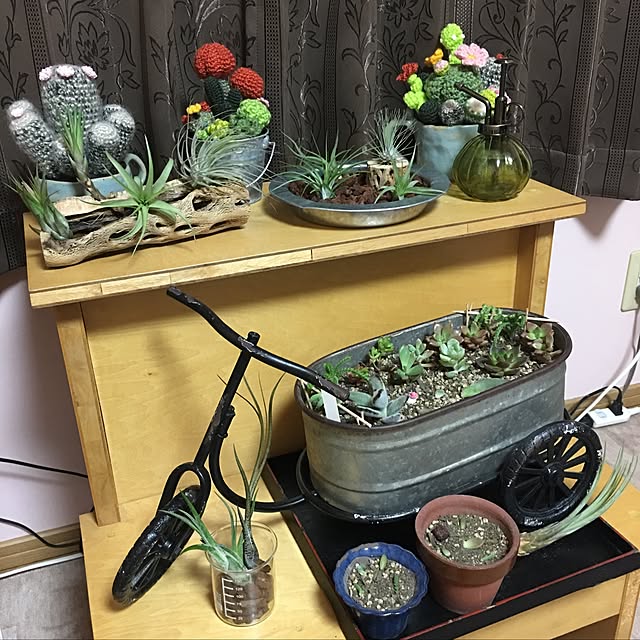yurilily_tさんの実例写真