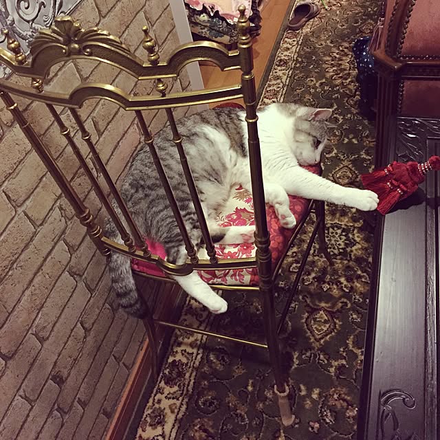 emmyyさんの実例写真