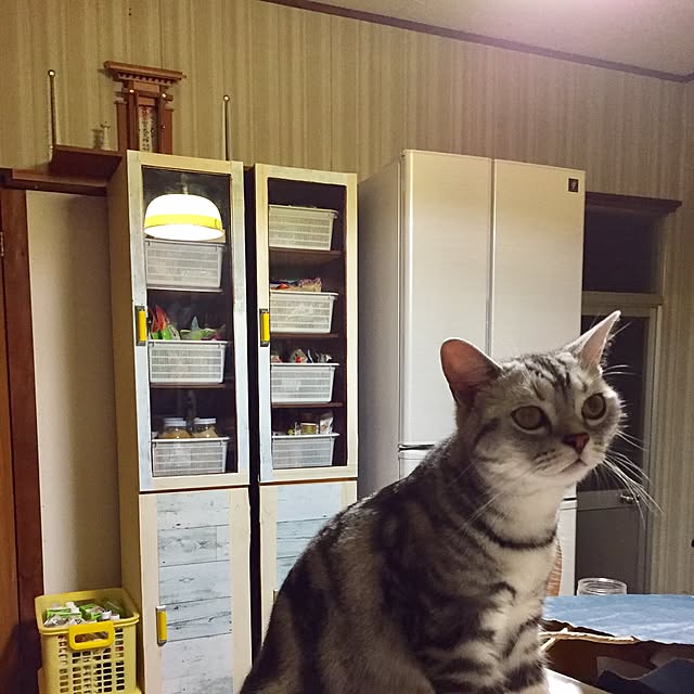 tanutanさんの実例写真
