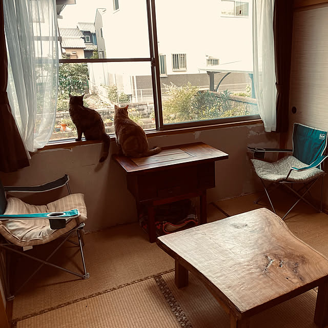 tornadeさんの実例写真