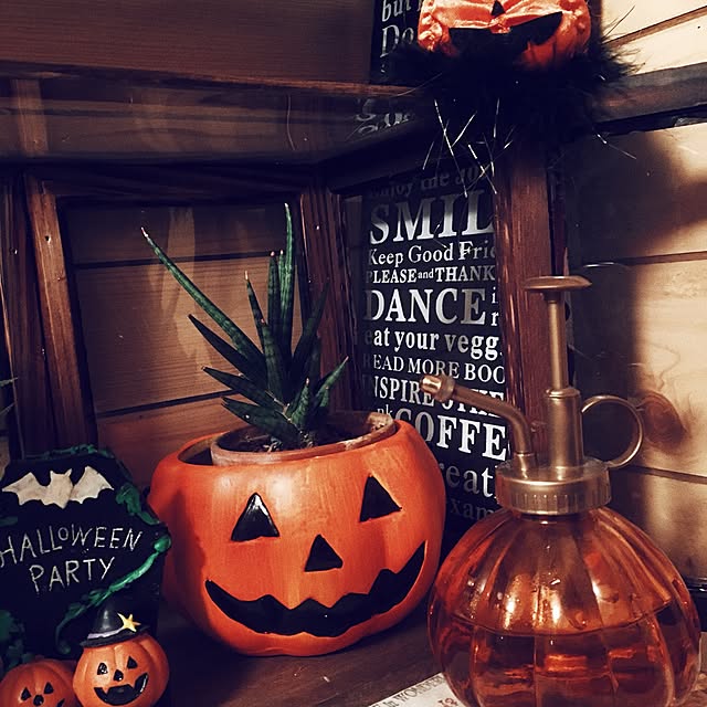 棚/観葉植物もハロウィン仕様です/ハロウィン/ダイソー/happyハロウィン♪...などのインテリア実例 - 2016-09-11 00:13:30