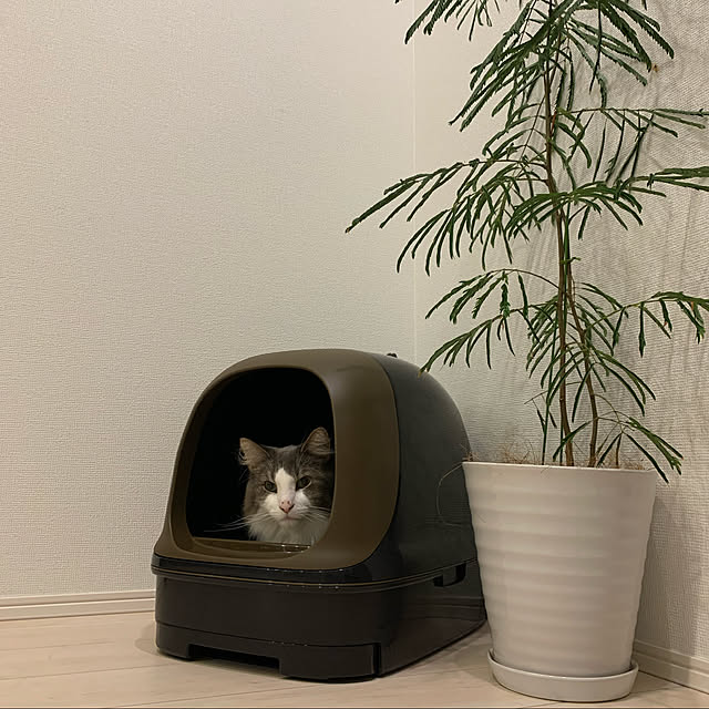 leoさんの実例写真