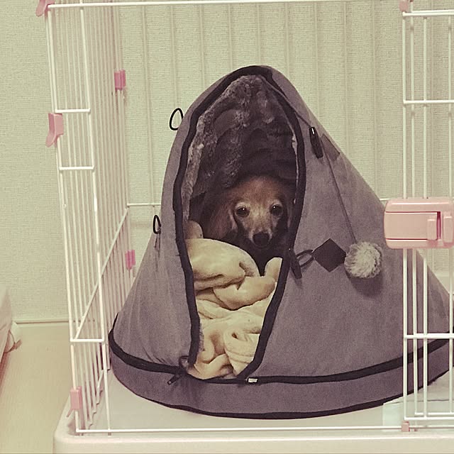 Arisaさんの実例写真