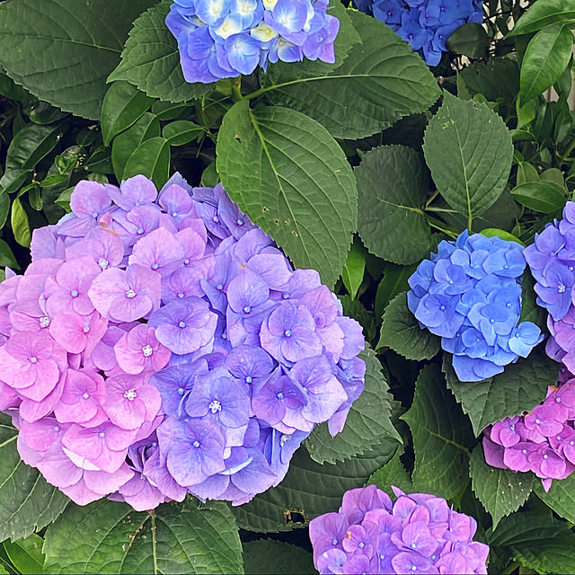 yukimaruさんの実例写真