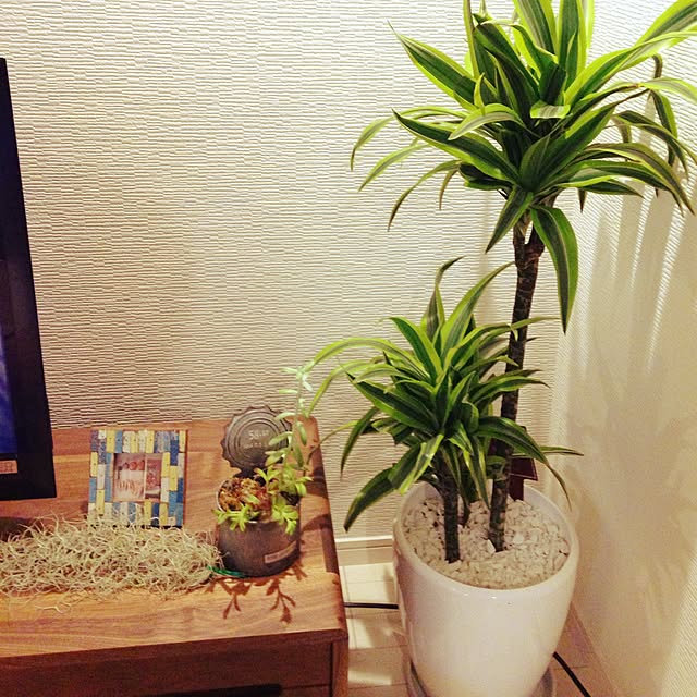 tomo5さんの実例写真