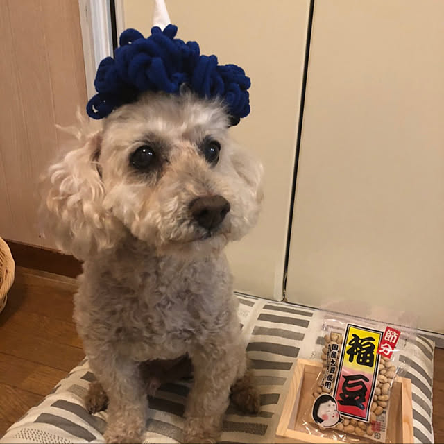 yukarimamaさんの実例写真