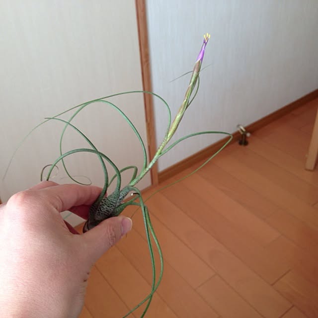 yandakoumutenさんの実例写真