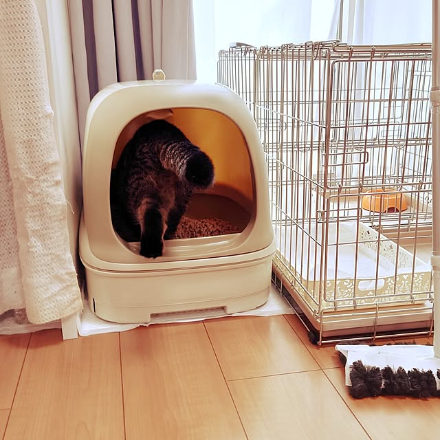 noguriさんの部屋