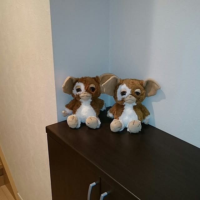 kazuさんの実例写真