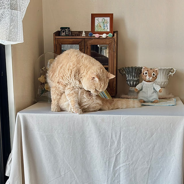 naokoさんの部屋