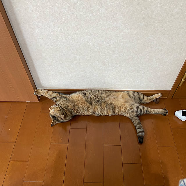 hansho.sさんの実例写真